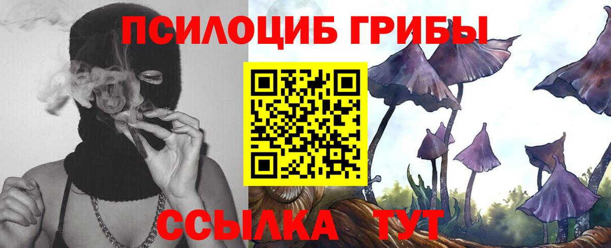 Галлюциногенные грибы Psilocybine cubensis  Вход с VPN  Нарткала  Галлюциногенные грибы Magic Shrooms 